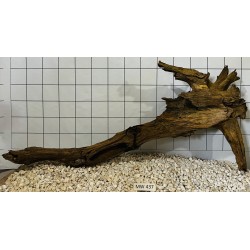 Mangrovewood 437
