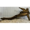 Mangrovewood 437
