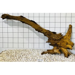 Mangrovewood 437