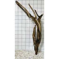 Mangrovewood 438
