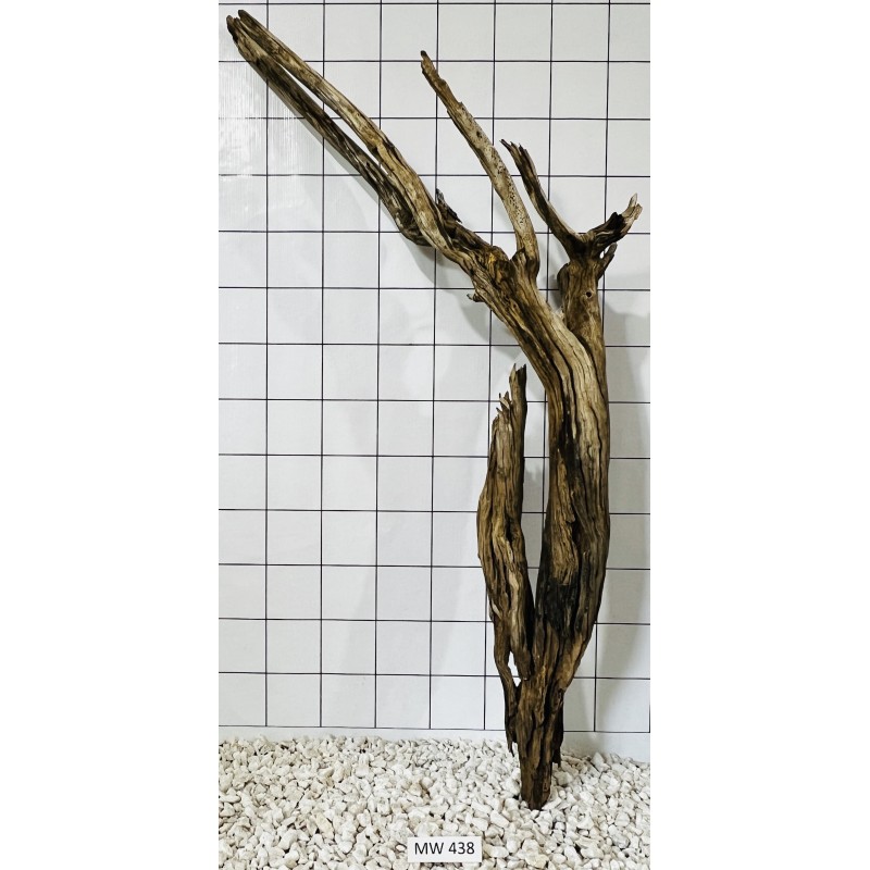 Mangrovewood 438