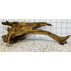 Mangrovewood 439