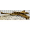 Mangrovewood 439