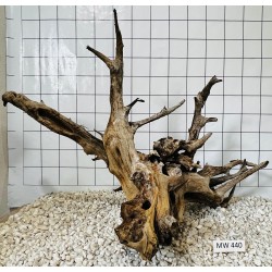 Mangrovewood 440