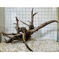 Mangrovewood 440