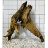 Mangrovewood 441
