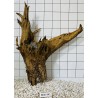 Mangrovewood 441