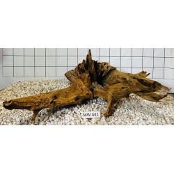 Mangrovewood 441