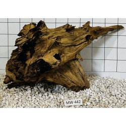 Mangrovewood 442