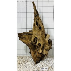 Mangrovewood 442
