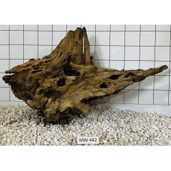 Mangrovewood 442