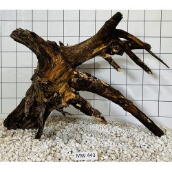 Mangrovewood 443