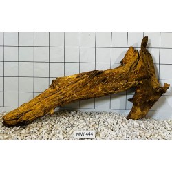 Mangrovewood 444
