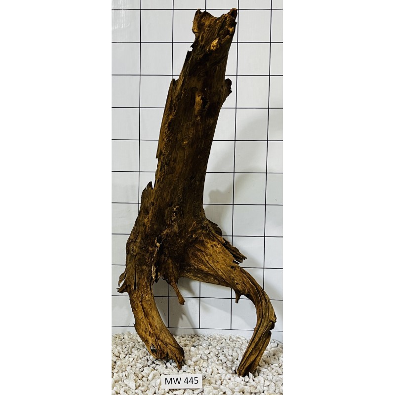Mangrovewood 445