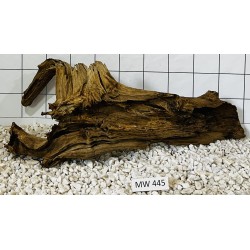 Mangrovewood 445