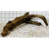 Mangrovewood 445