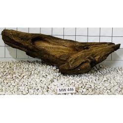 Mangrovewood 446