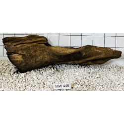 Mangrovewood 446