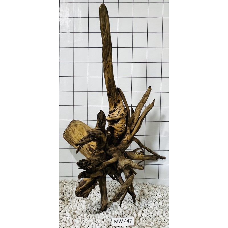 Mangrovewood 447