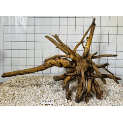 Mangrovewood 447