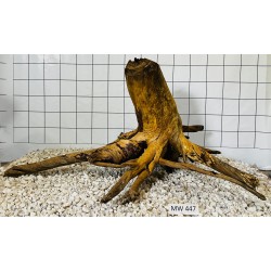 Mangrovewood 447