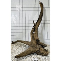 Mangrovewood 448