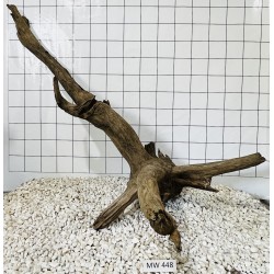 Mangrovewood 448