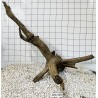 Mangrovewood 448