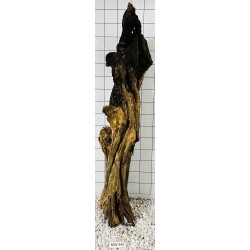 Mangrovewood 449