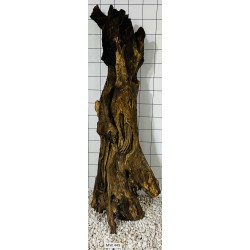 Mangrovewood 449