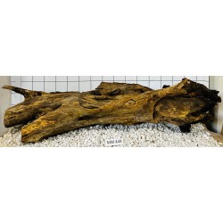 Mangrovewood 449