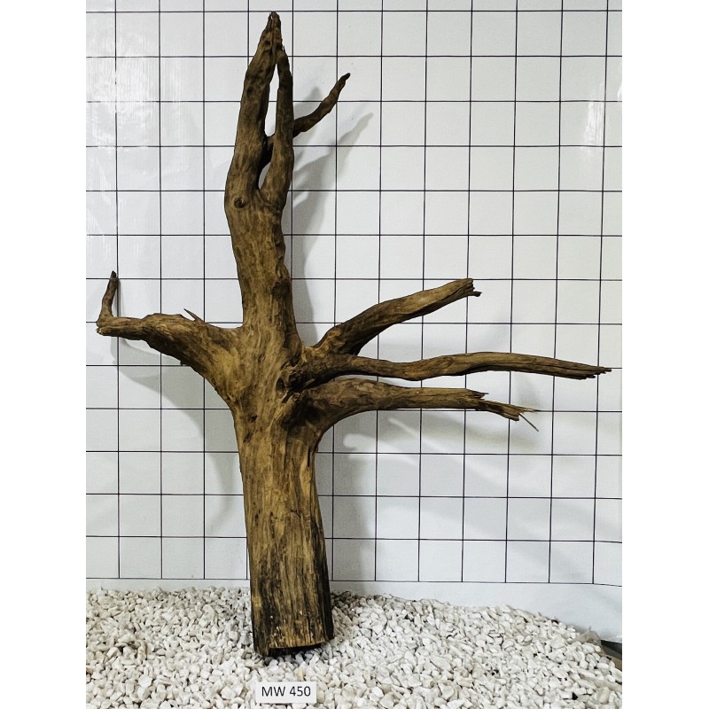 Mangrovewood 450