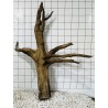 Mangrovewood 450