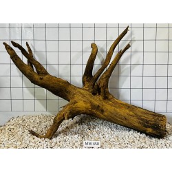Mangrovewood 450