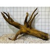 Mangrovewood 450
