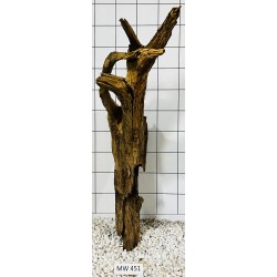 Mangrovewood 451