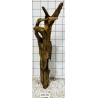 Mangrovewood 451