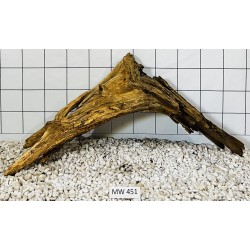 Mangrovewood 451