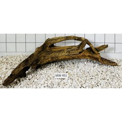 Mangrovewood 451