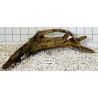 Mangrovewood 451