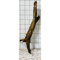 Mangrovewood 452