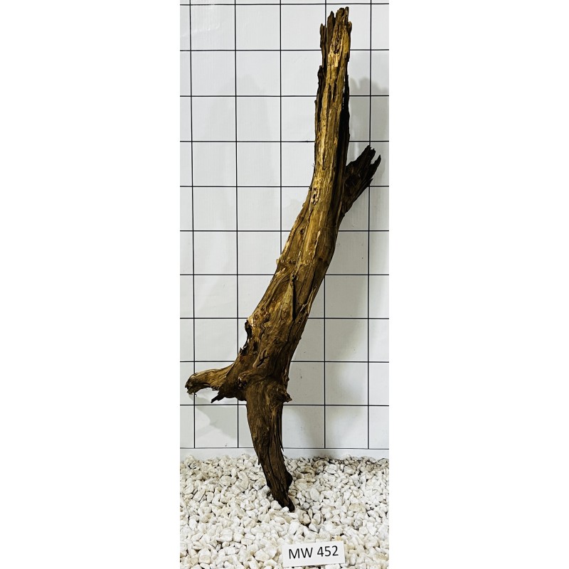 Mangrovewood 452