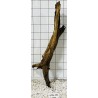Mangrovewood 452