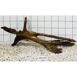 Mangrovewood 452