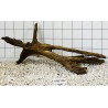 Mangrovewood 452