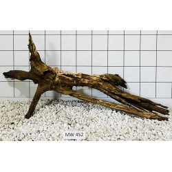 Mangrovewood 452