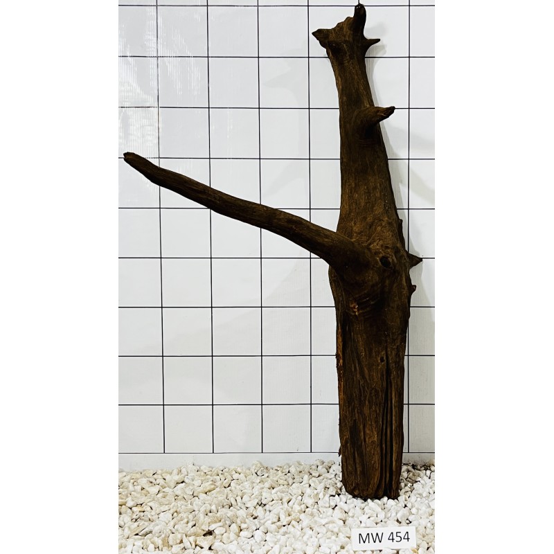 Mangrovewood 454