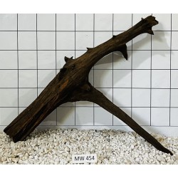 Mangrovewood 454