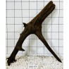 Mangrovewood 454