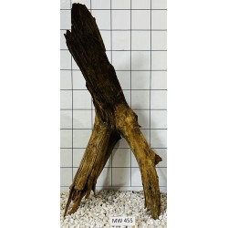 Mangrovewood 455